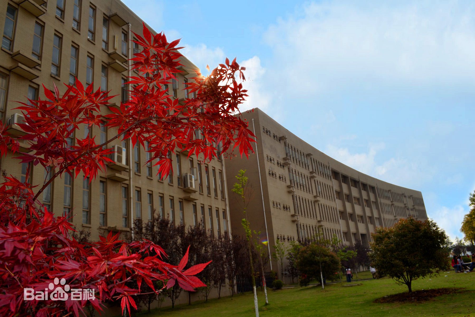 武昌職業學院怎么樣地址在哪?專業有哪些?2023學校學費標準多少