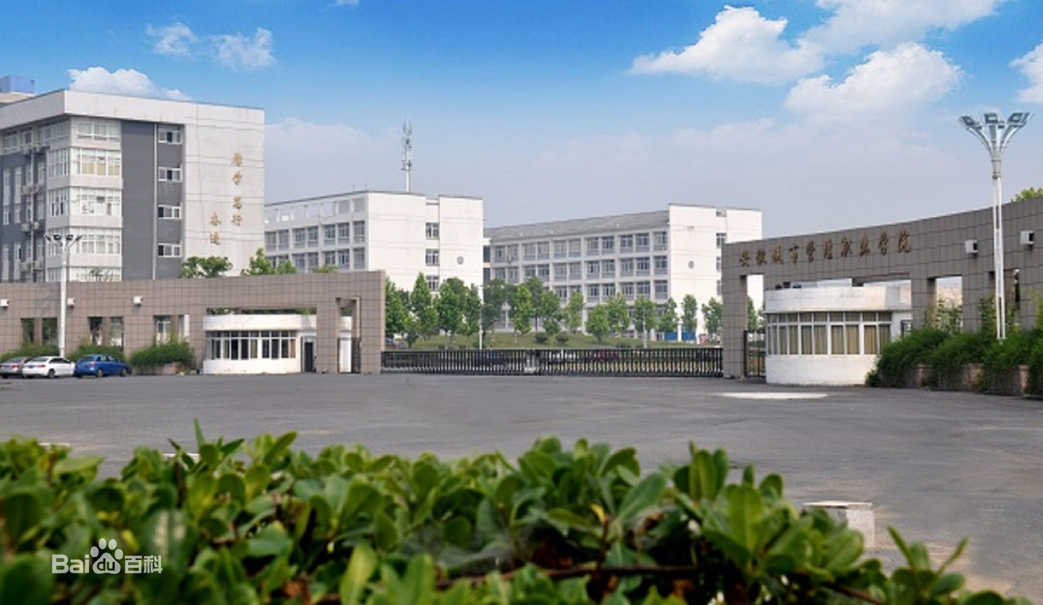 安徽城市管理職業學院特色專業有哪些?殯葬專業怎么樣地址在哪?