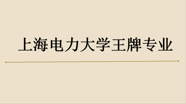 上海電力大學有哪些專業