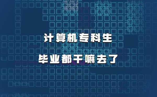 計算機專科生畢業都干嘛去了,計算機?粕蜆I前景如何