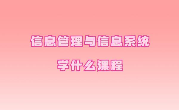 信息管理與信息系統(tǒng)學(xué)什么課程,信管專業(yè)最好的出路有哪些