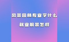 L(fng)@֌I(y)W(xu)ʲô͘I(y)ǰ L(fng)@֌I(y)I(y)ʲôИI(y)