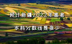AӋ½2023߿Ʒ֔Ƕ2023걾ƾ